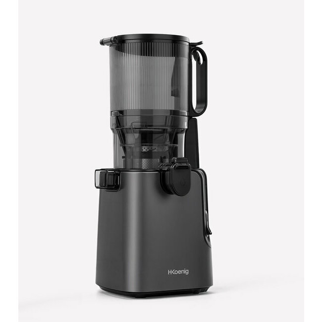 Extra-slow wide-chute juice extractor